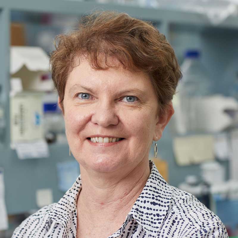 Professor Robyn Jamieson